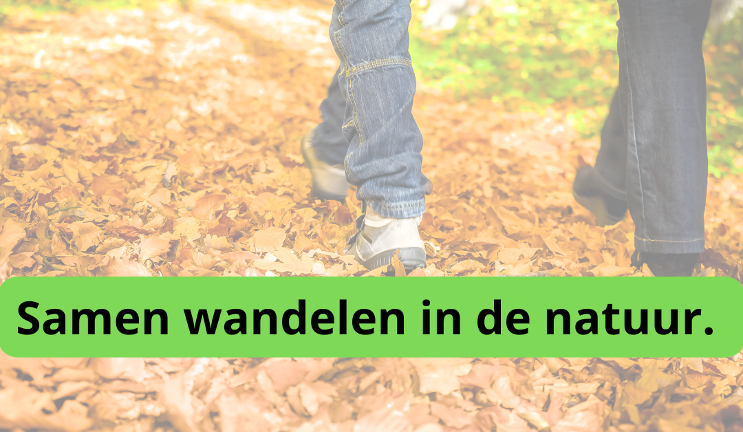 wandelcoaching