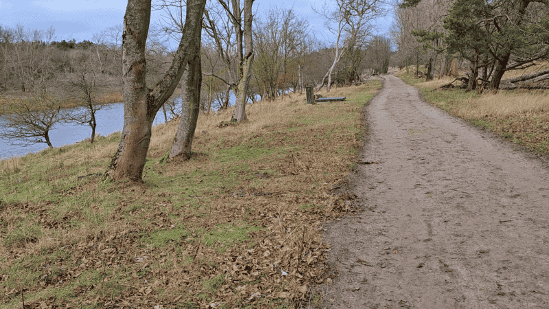 wandelen in de natuur, wandelcoaching, zelfliefde