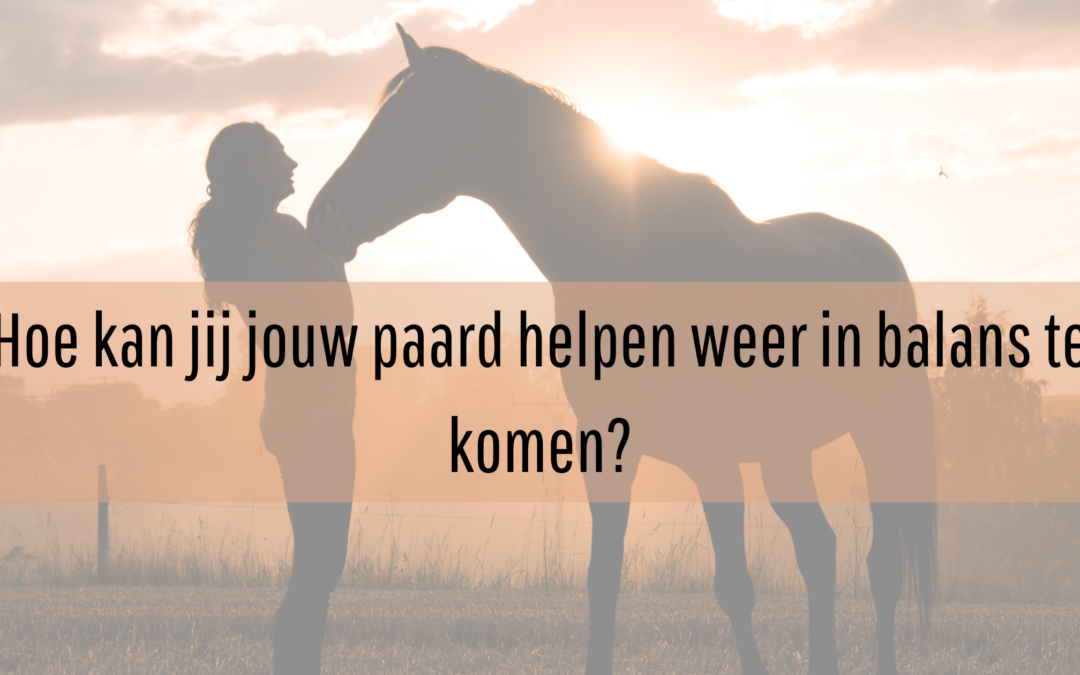 Hoe kunnen jij en jouw paard elkaar helpen weer in balans te komen?