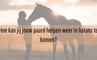 Hoe jij en jouw paard elkaar kunnen helpen weer in balans te komen.