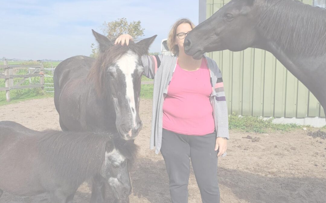 Healing voor je paard rust balans welzijn. Healing voor jou en je paard