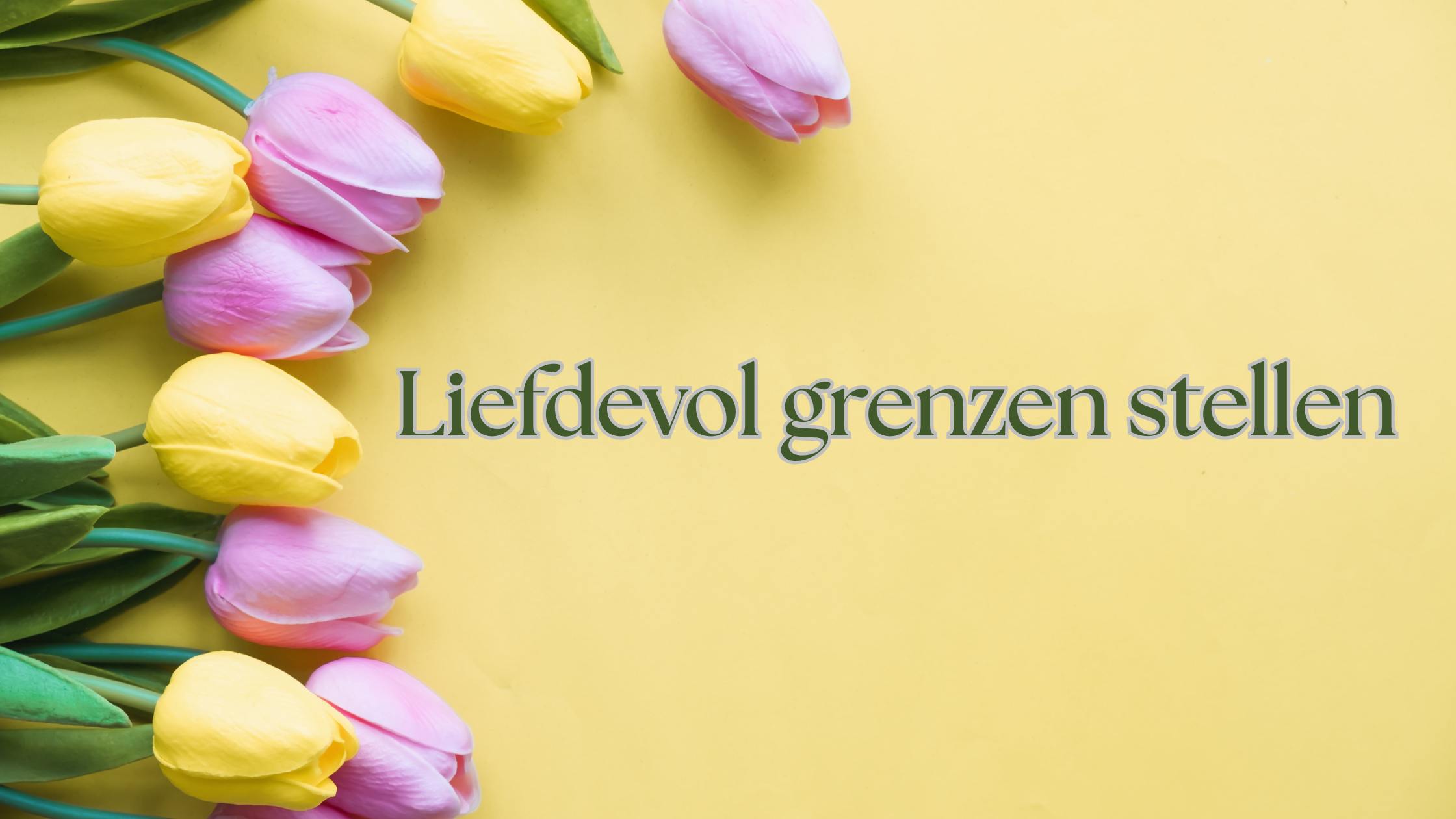 Liefdevol grenzen stellen Mini training: liefdevol grenzen stellen.