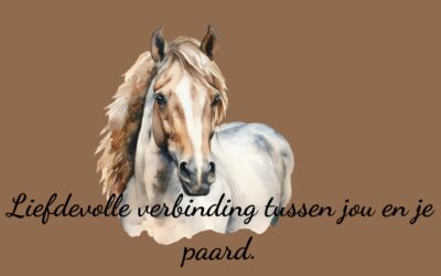 Liefdevolle verbinding tussen jou en je paard.
