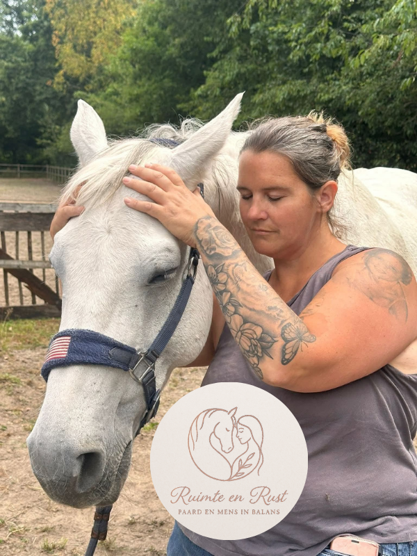 Paarden revalidatie therapeut Wat een paardenbehandeling kan betekenen voor jouw paard. Craniosacraal therapie voor paarden Shiatsu. Volleerd paarden revalidatietherapeut Ostheopatie