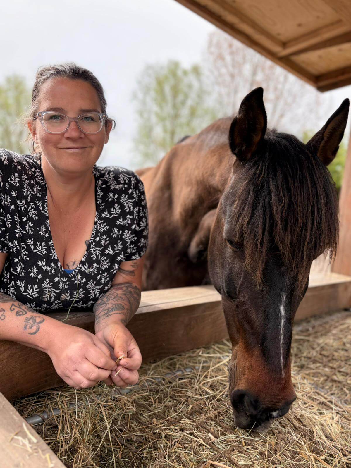 Healing voor mens en paard