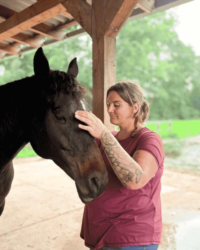 Ruimte en Rust<br />
Over mij<br />
Verbinding met paarden<br />
Reiki tussen de paarden<br />
Haarlem